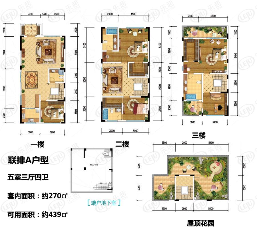 金科天宸联排a户型户型图