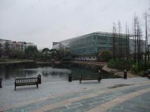 上海奥林匹克花园社区实景